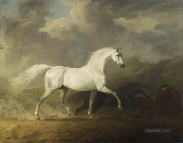 maria teresa vallabriga pferd Ölbilder verkaufen - am078D Tier Pferd